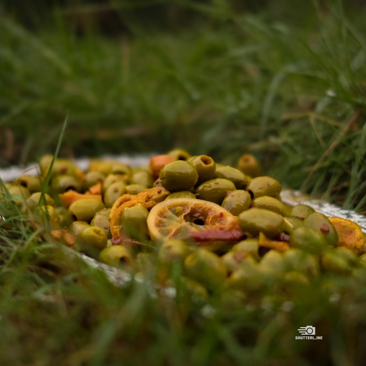 Fresh olives on grass